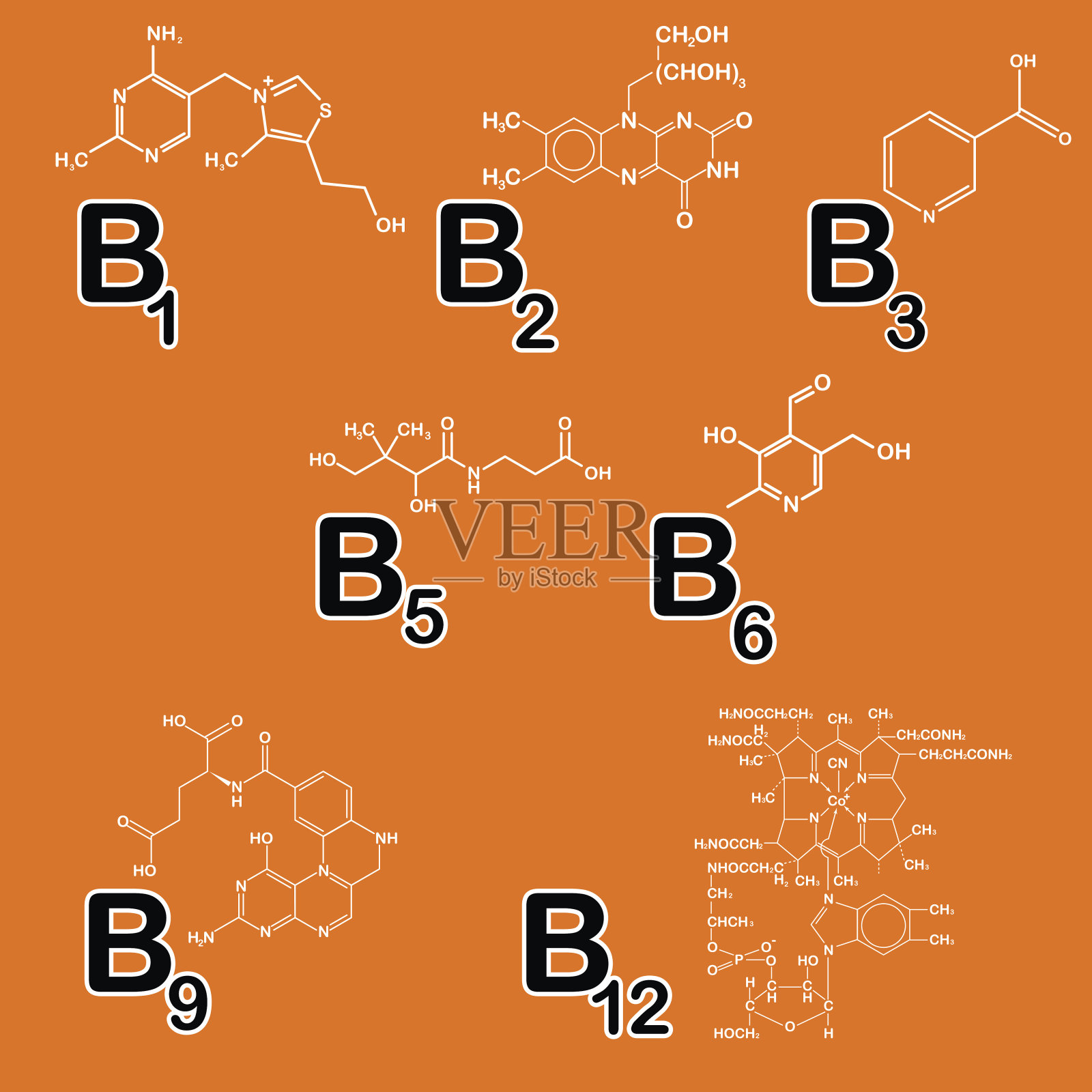 B组维生素。健康的生活理念。维生素B1 B2 B3 B5 B6 B9 B12。矢量插图。结构化学配方收集医药保健，美容广告插画图片素材
