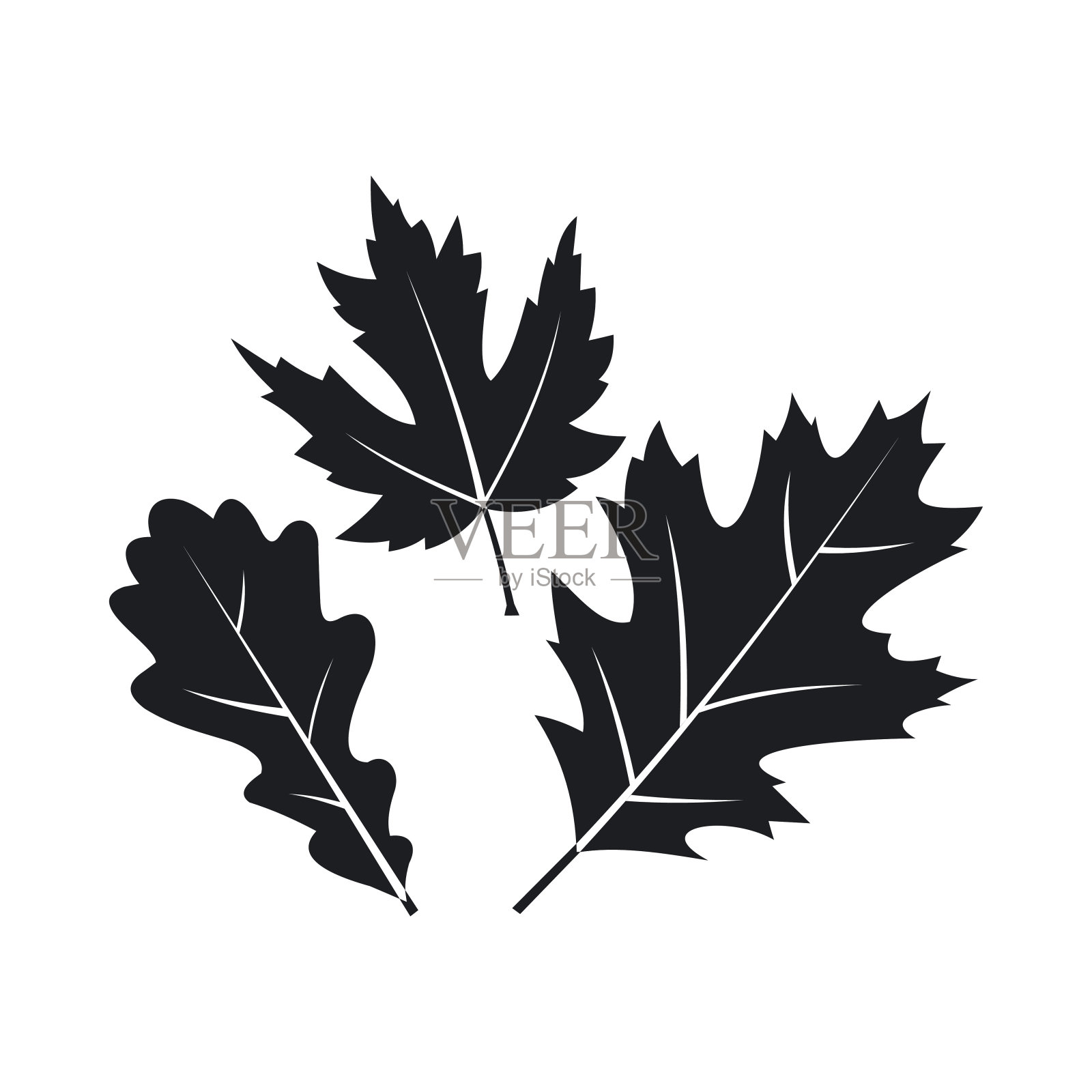 秋叶icon，简约风格设计元素图片