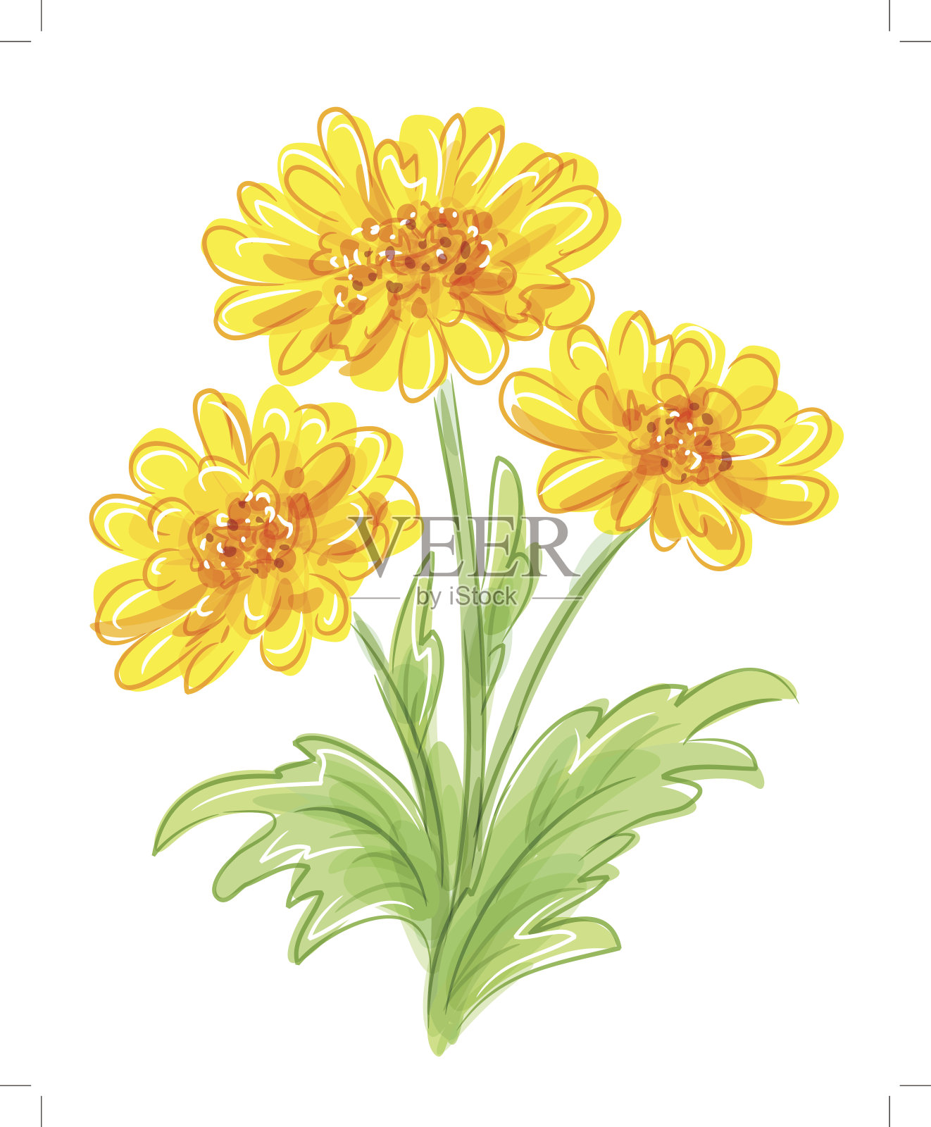 三个黄色的花。EPS10向量插画图片素材