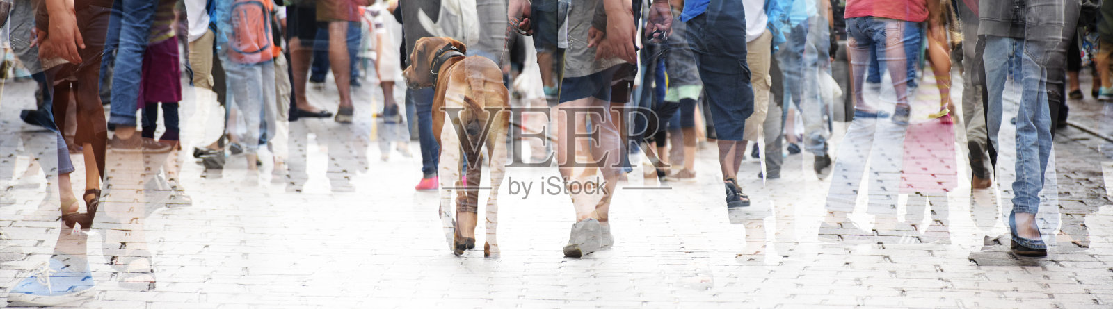城市漫步，双曝光一大群人和一只狗，抽象的全景横幅为网站标题照片摄影图片