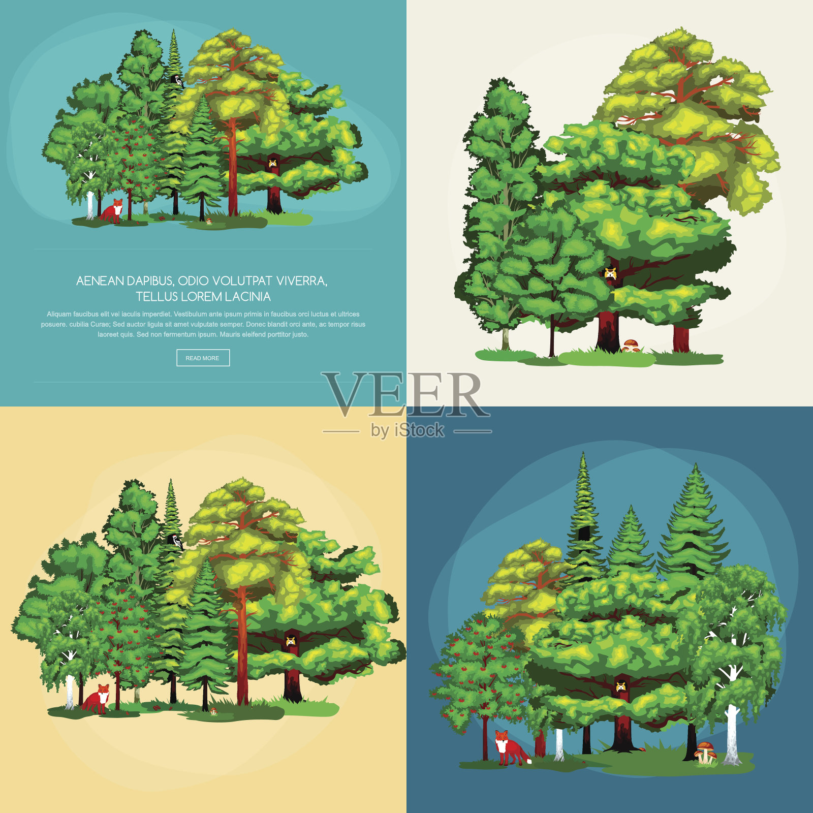 森林里绿树成荫，草木丛生，是夏季的景观插画图片素材