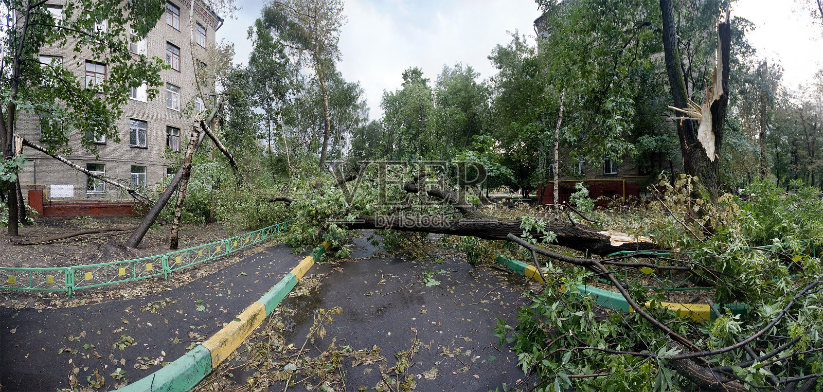 飓风在莫斯科。倒下的树木照片摄影图片