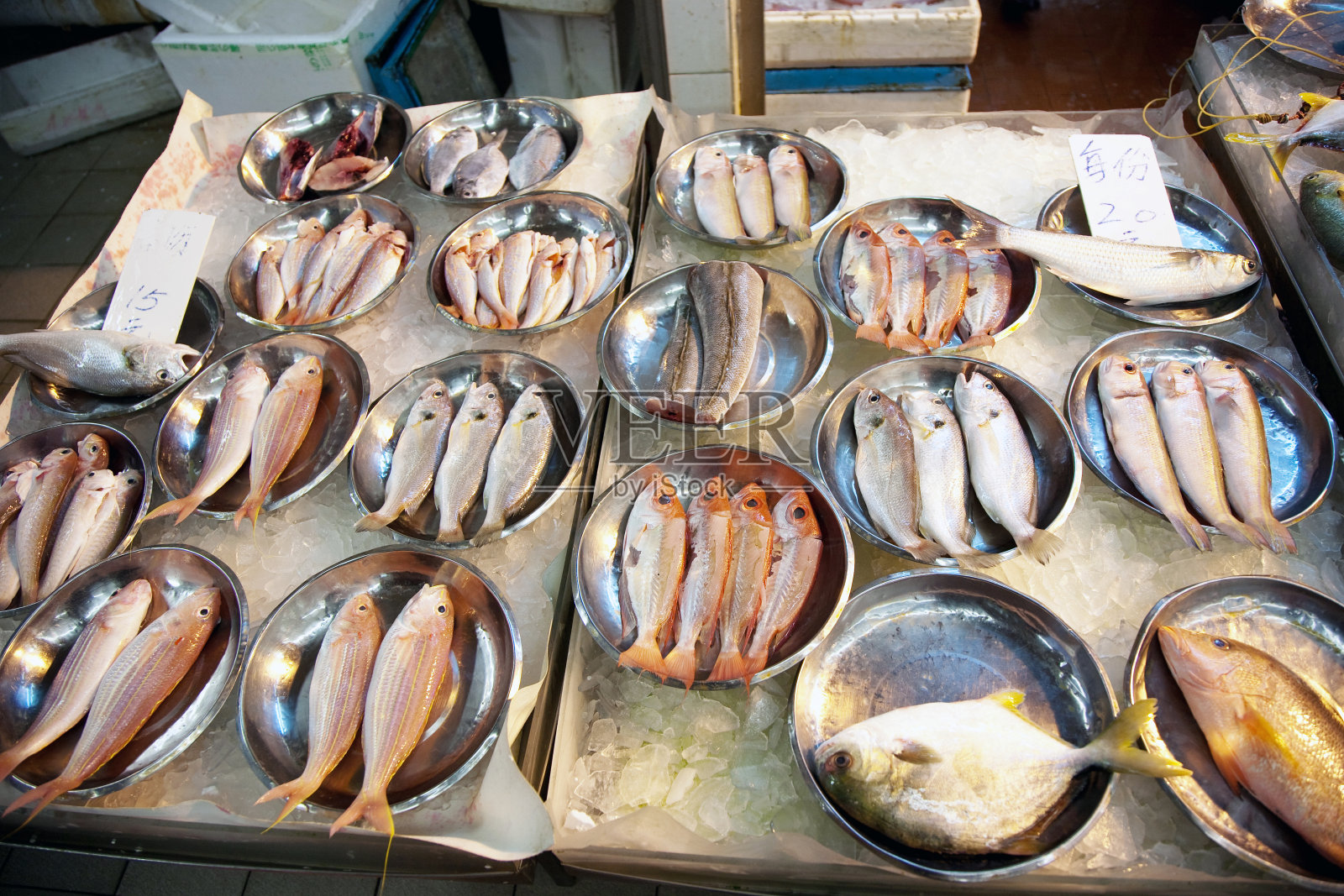 亚洲的鱼市上供应全新鲜的鱼照片摄影图片
