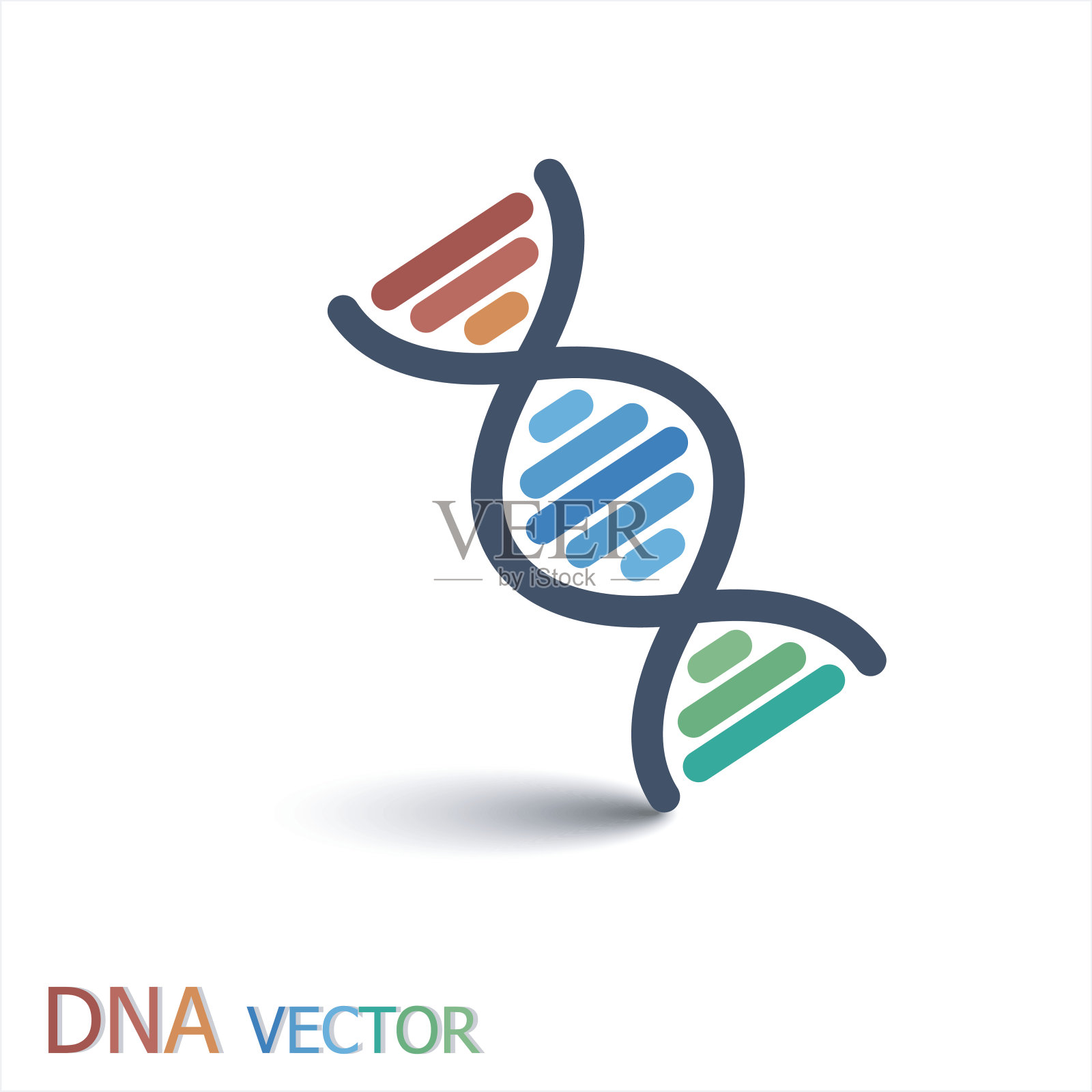DNA(脱氧核糖核酸)符号(双链DNA)插画图片素材