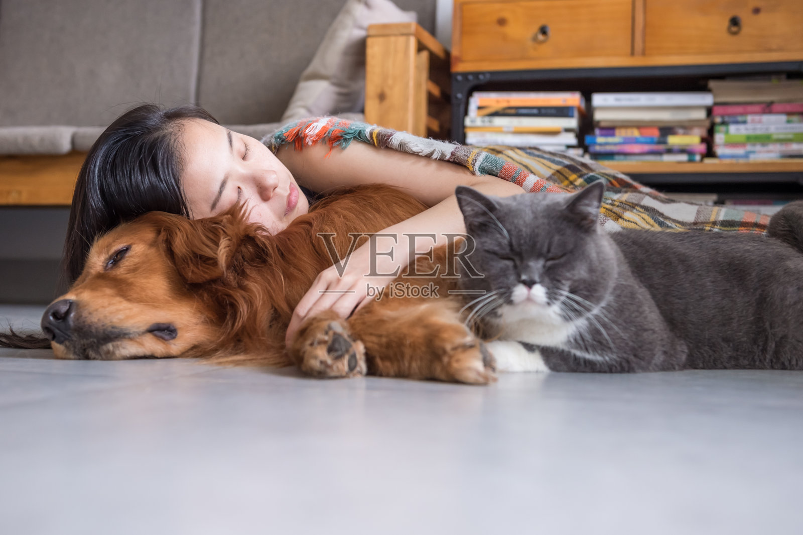 女孩和猫狗睡在一起照片摄影图片