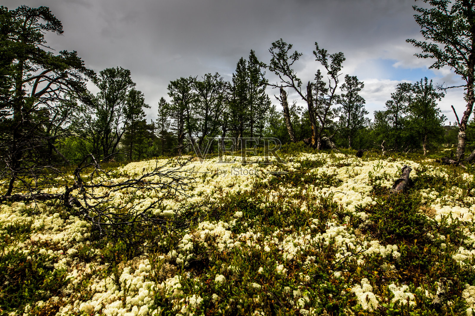罗丹挪威多彩的自然照片摄影图片