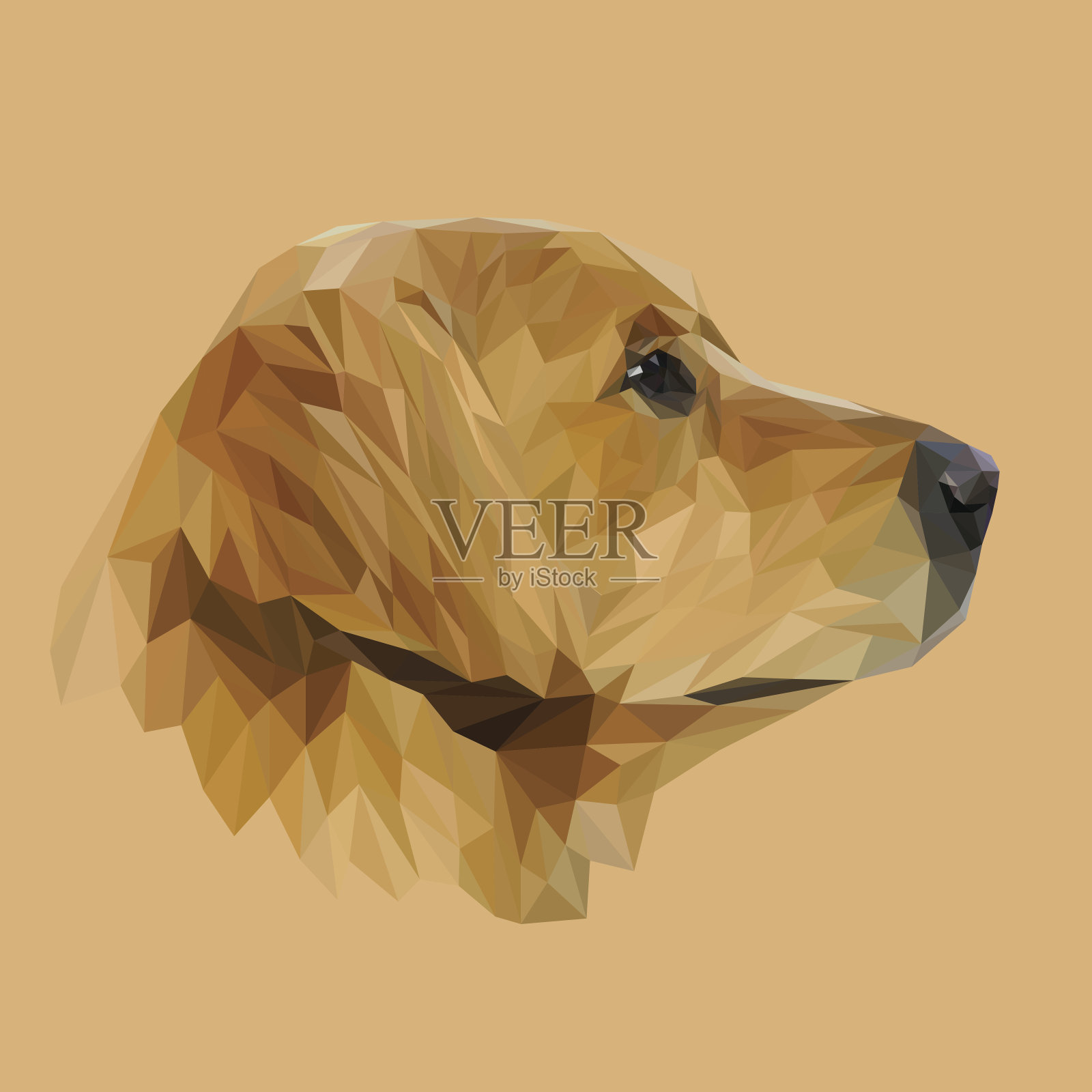 金毛犬动物低聚设计。三角形矢量插图。插画图片素材