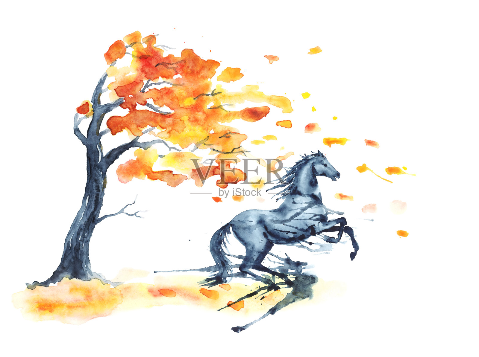 湿水彩养马与墨迹污渍秋天树与黄色和橙色的落叶在白色。插画图片素材