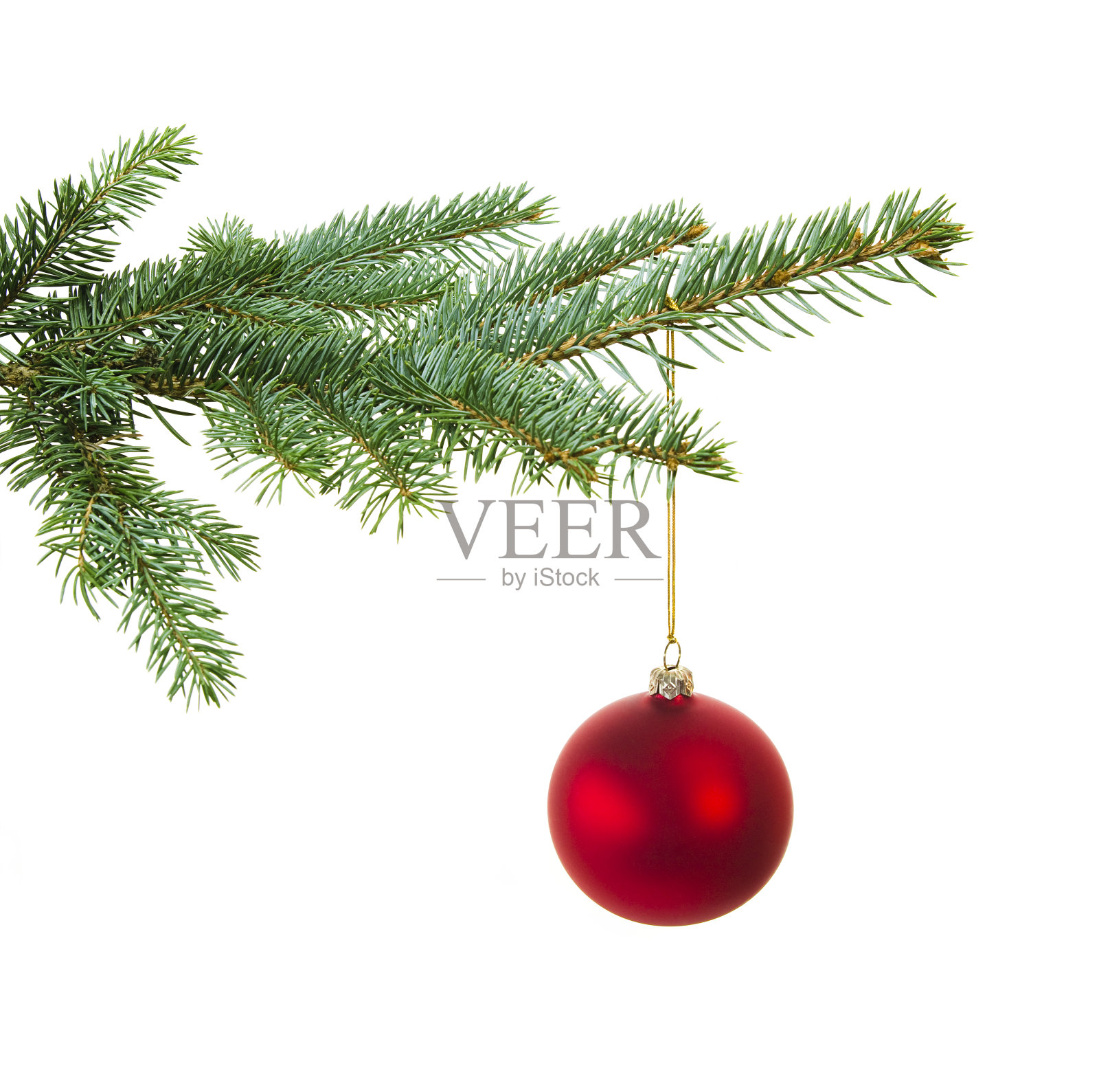一张有一个红球的圣诞树树枝的照片照片摄影图片