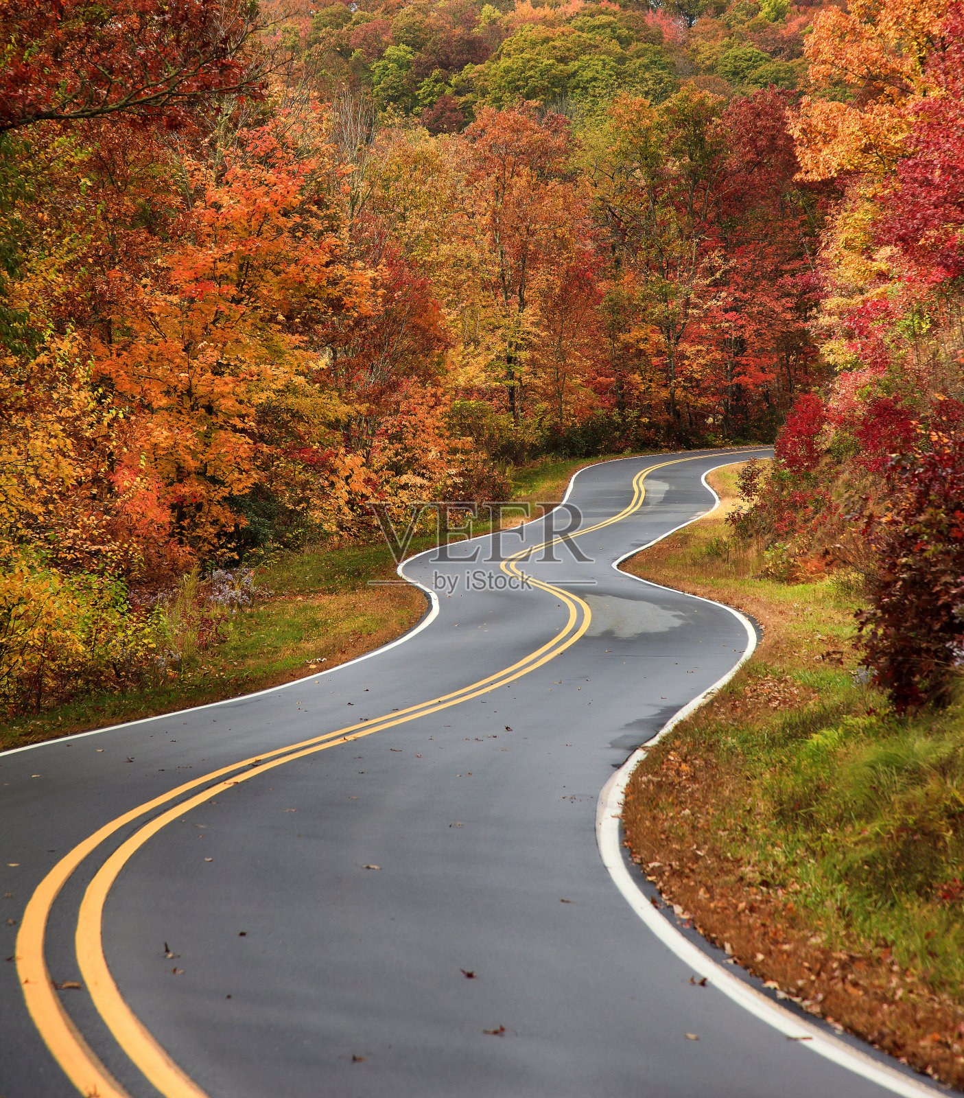 秋天蜿蜒的乡村路照片摄影图片