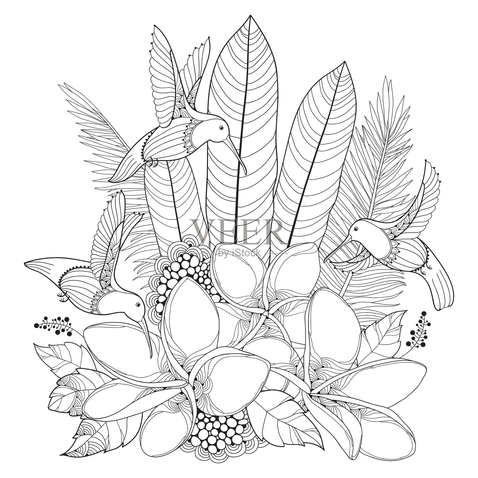 矢量飞行蜂鸟，鸡蛋花和棕榈叶在轮廓风格孤立在白色的背景。插画图片素材