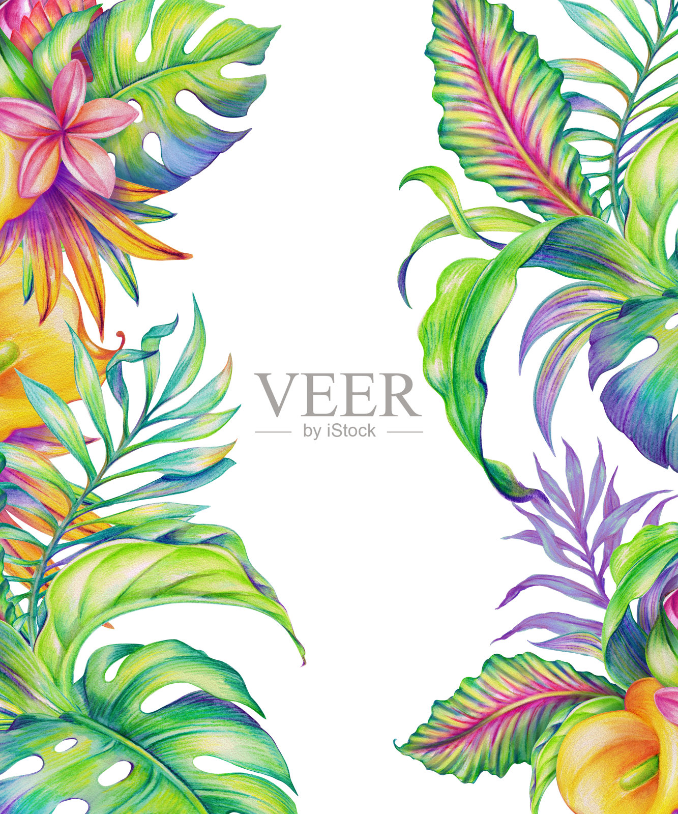 奇异的叶子，热带自然，抽象的花和叶，水彩插图孤立在白色的背景插画图片素材