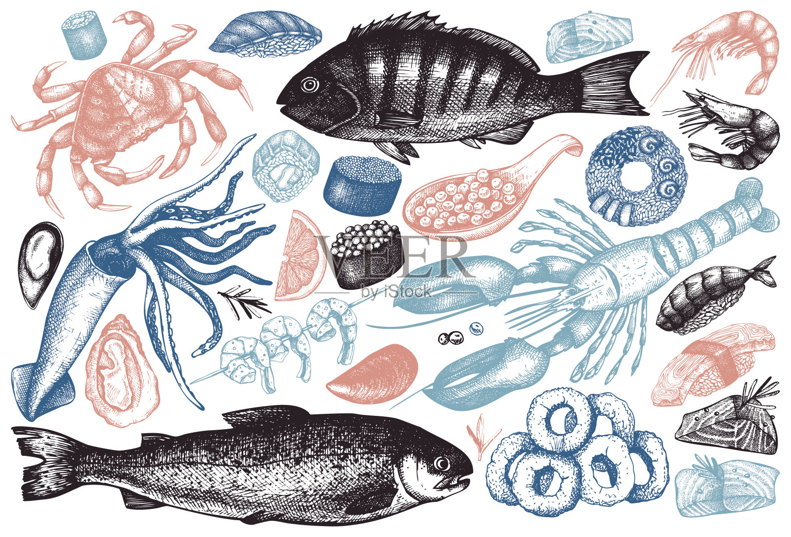 海鲜轮廓集合插画图片素材