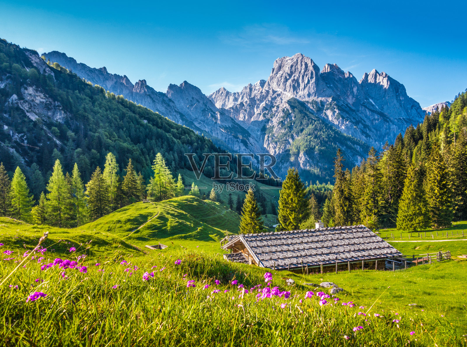 在日落时分，阿尔卑斯山的田园风光和传统的山间小屋照片摄影图片