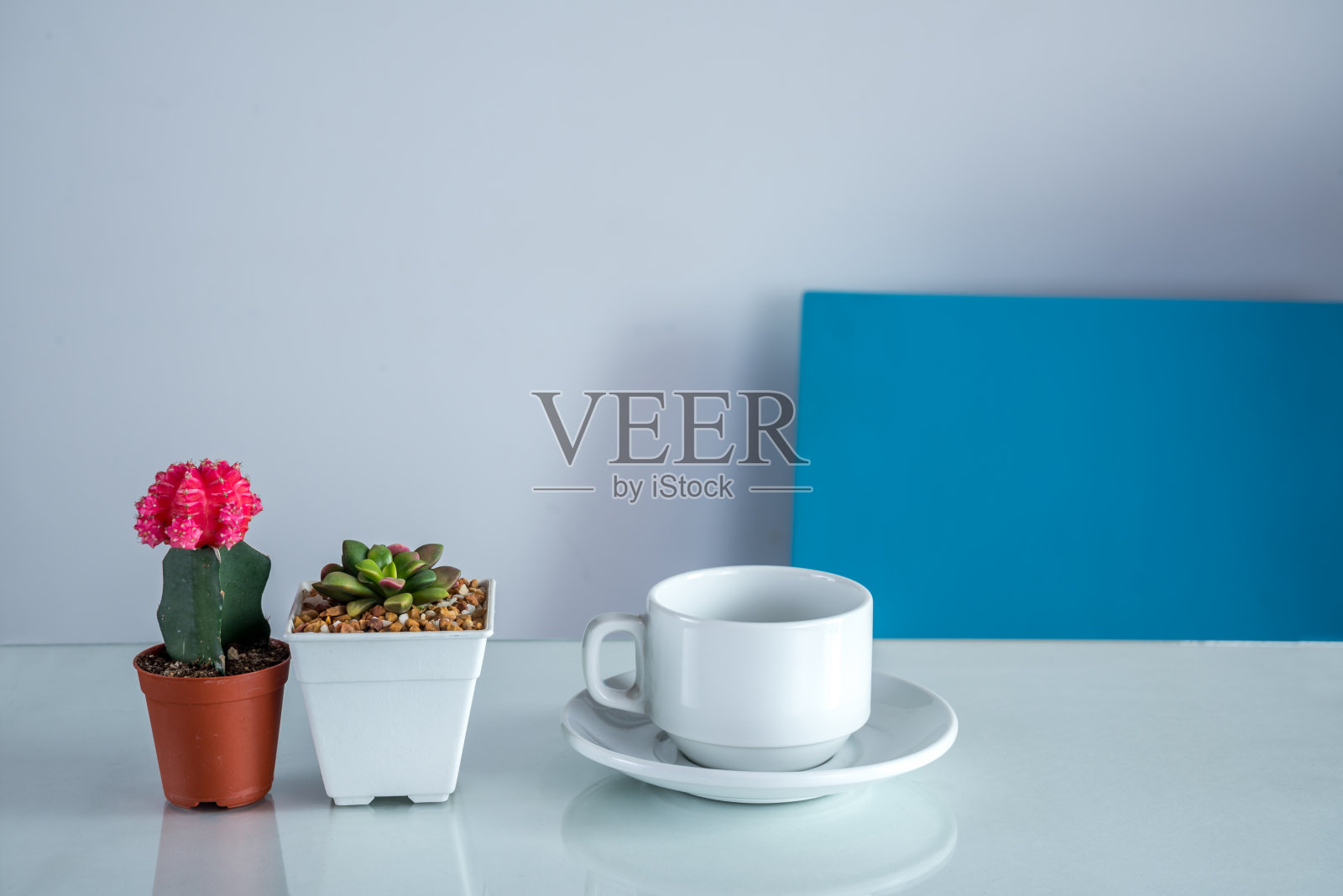 咖啡杯，仙人掌，现代餐桌上的多汁花盆照片摄影图片