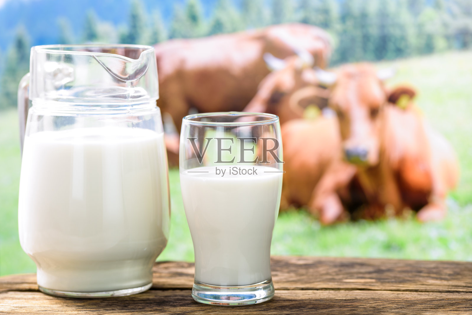 奶牛和牛奶在玻璃杯里照片摄影图片