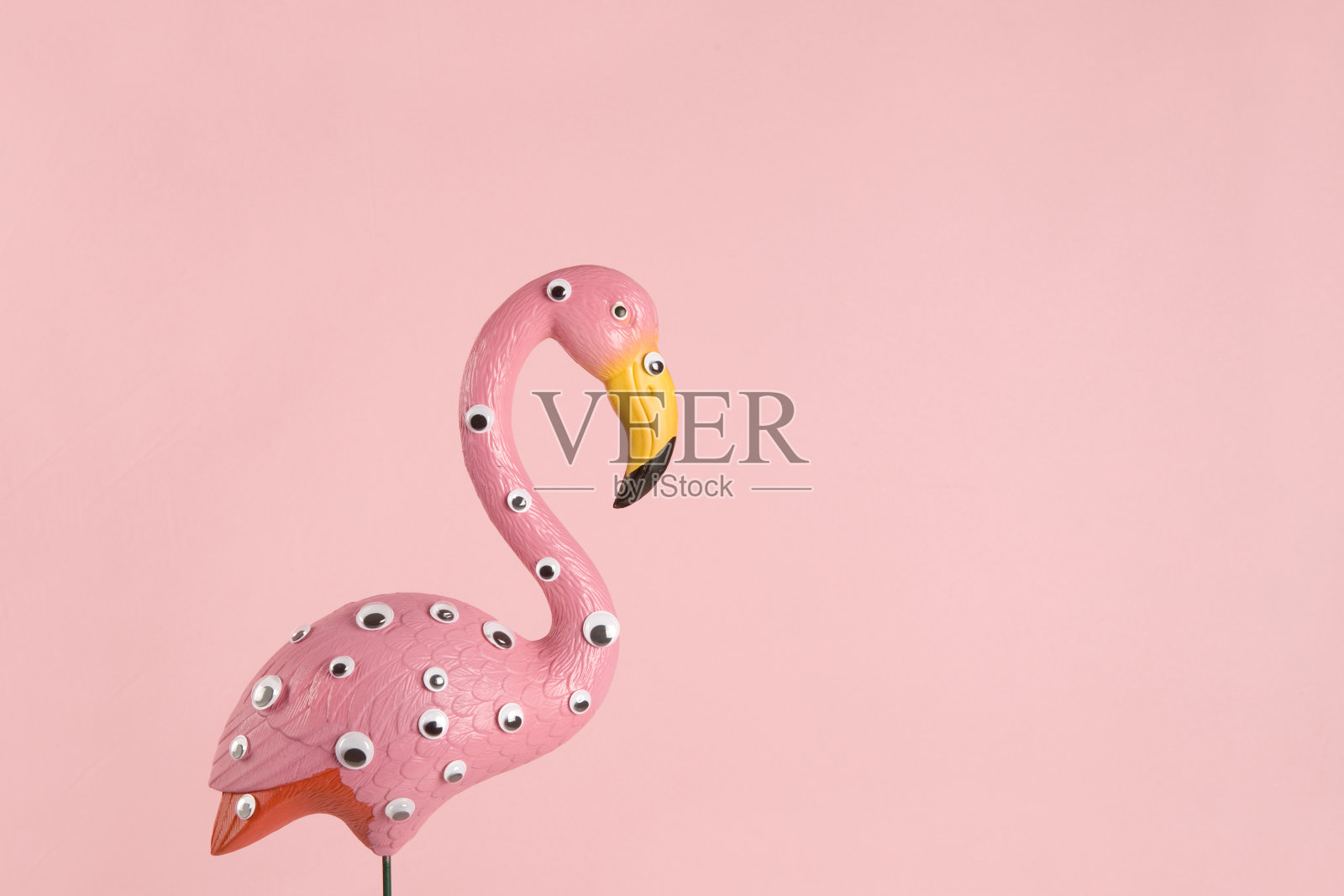 粉红色的塑料火烈鸟照片摄影图片