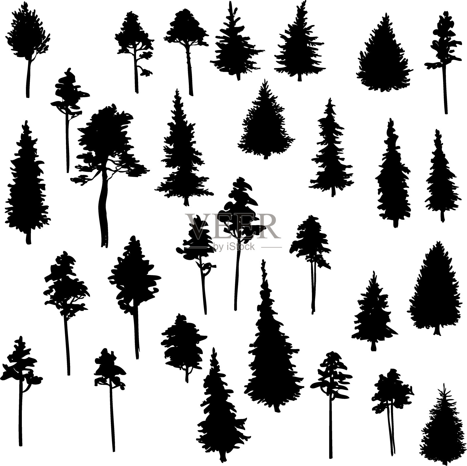 一组针叶树插画图片素材