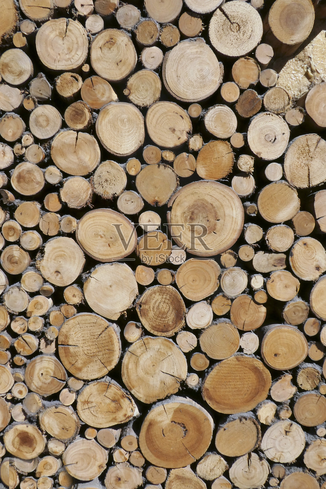 木材,木材照片摄影图片