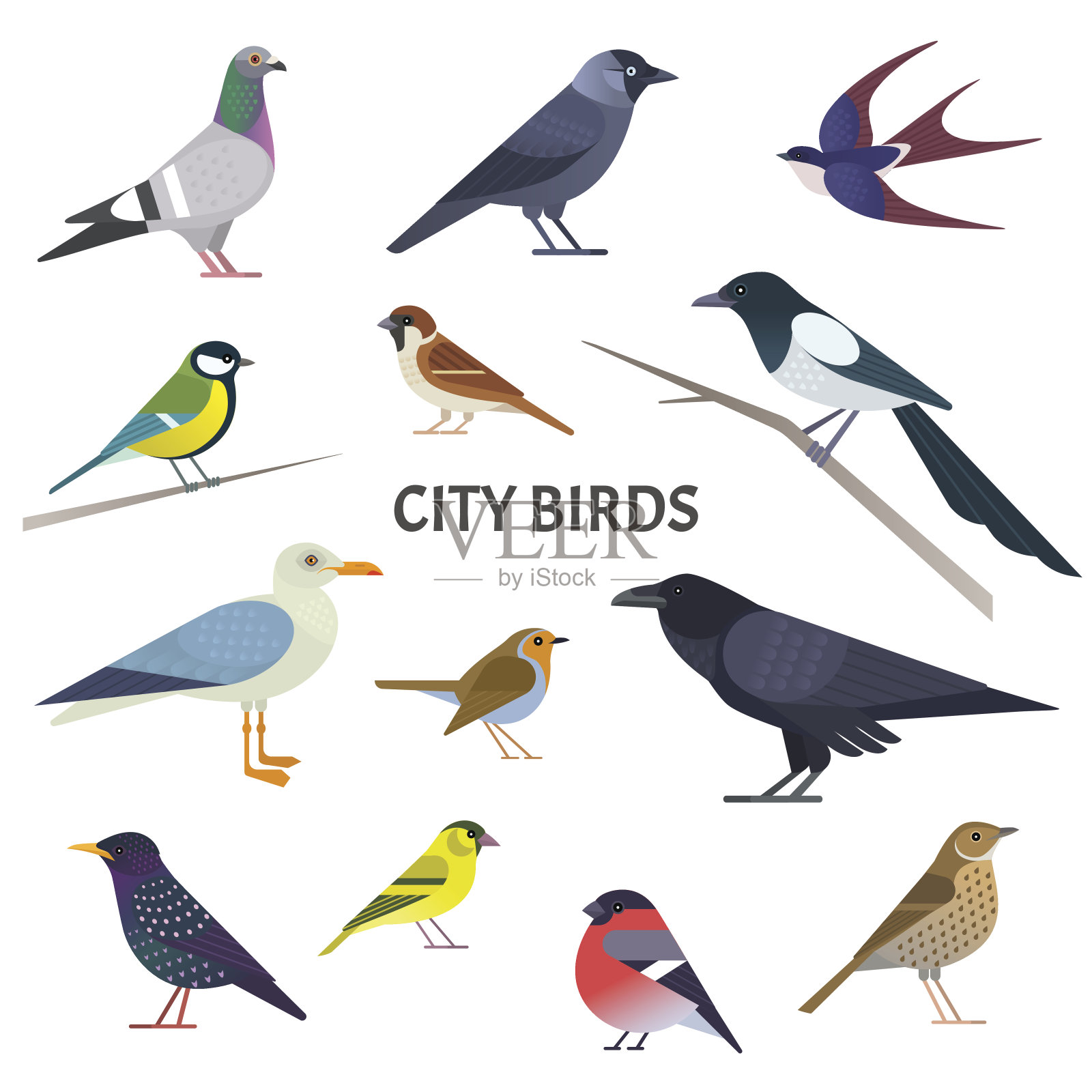 城市鸟类。设计元素图片
