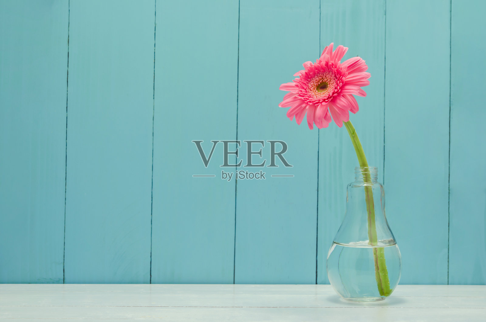 粉红色非洲菊雏菊花在球茎玻璃花瓶照片摄影图片