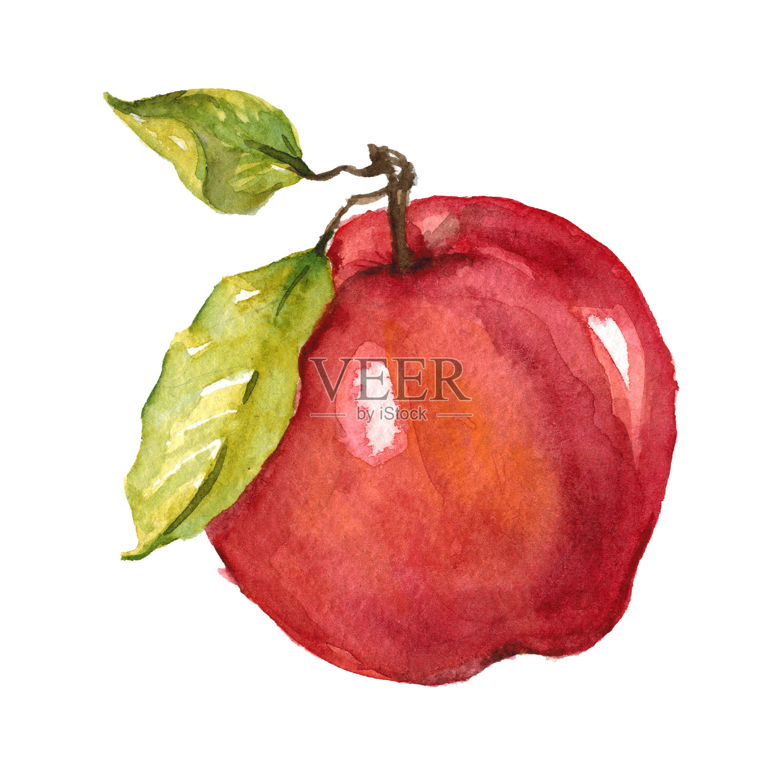 水彩手绘苹果插画图片素材