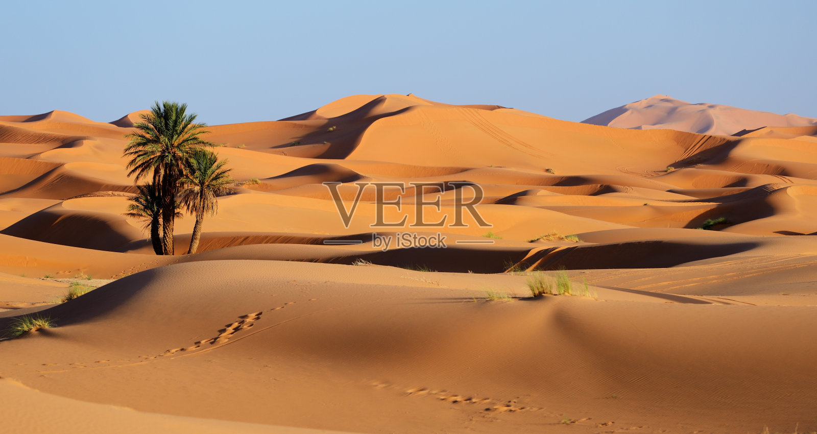摩洛哥。撒哈拉沙漠的沙丘照片摄影图片
