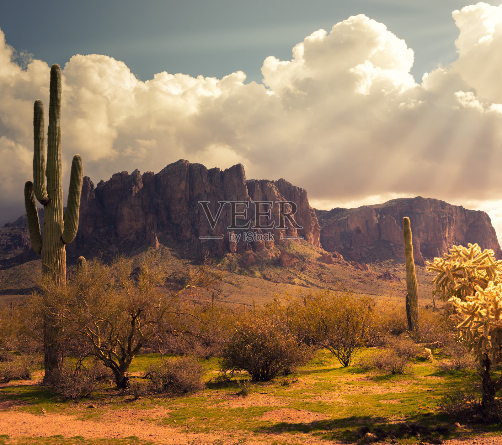 亚利桑那州沙漠西部荒野景观照片摄影图片