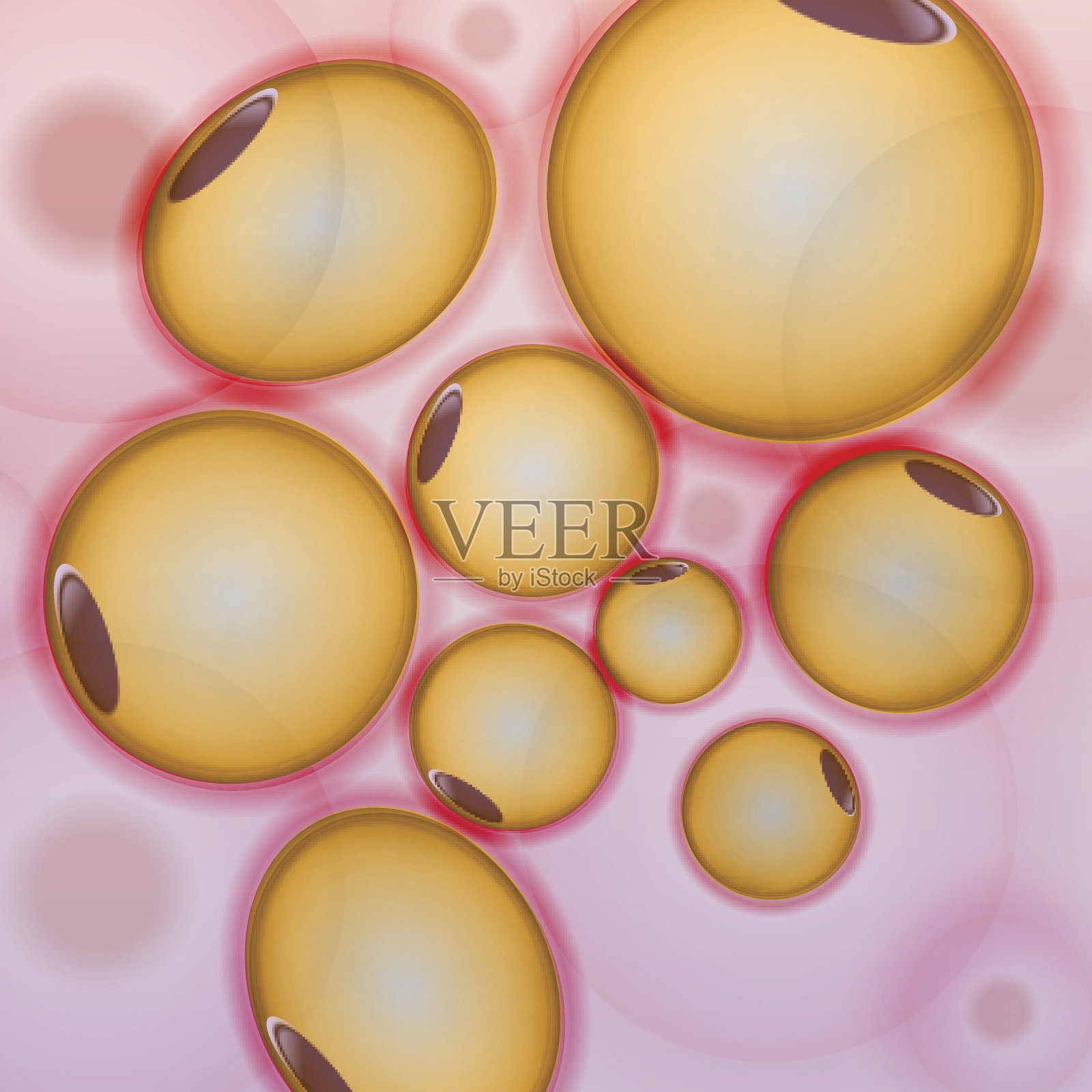 脂肪组织，脂肪细胞，脂肪细胞-载体插图插画图片素材