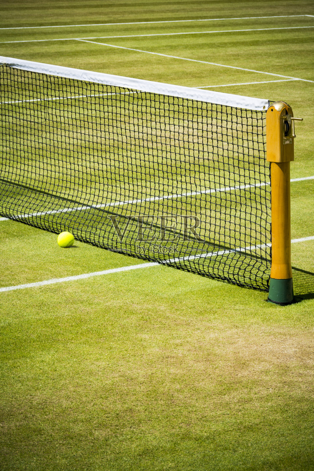 网球网和球在草地上照片摄影图片