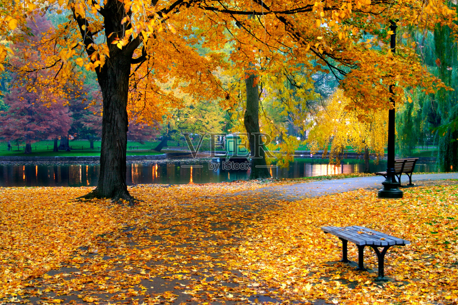 波士顿公园的秋天照片摄影图片