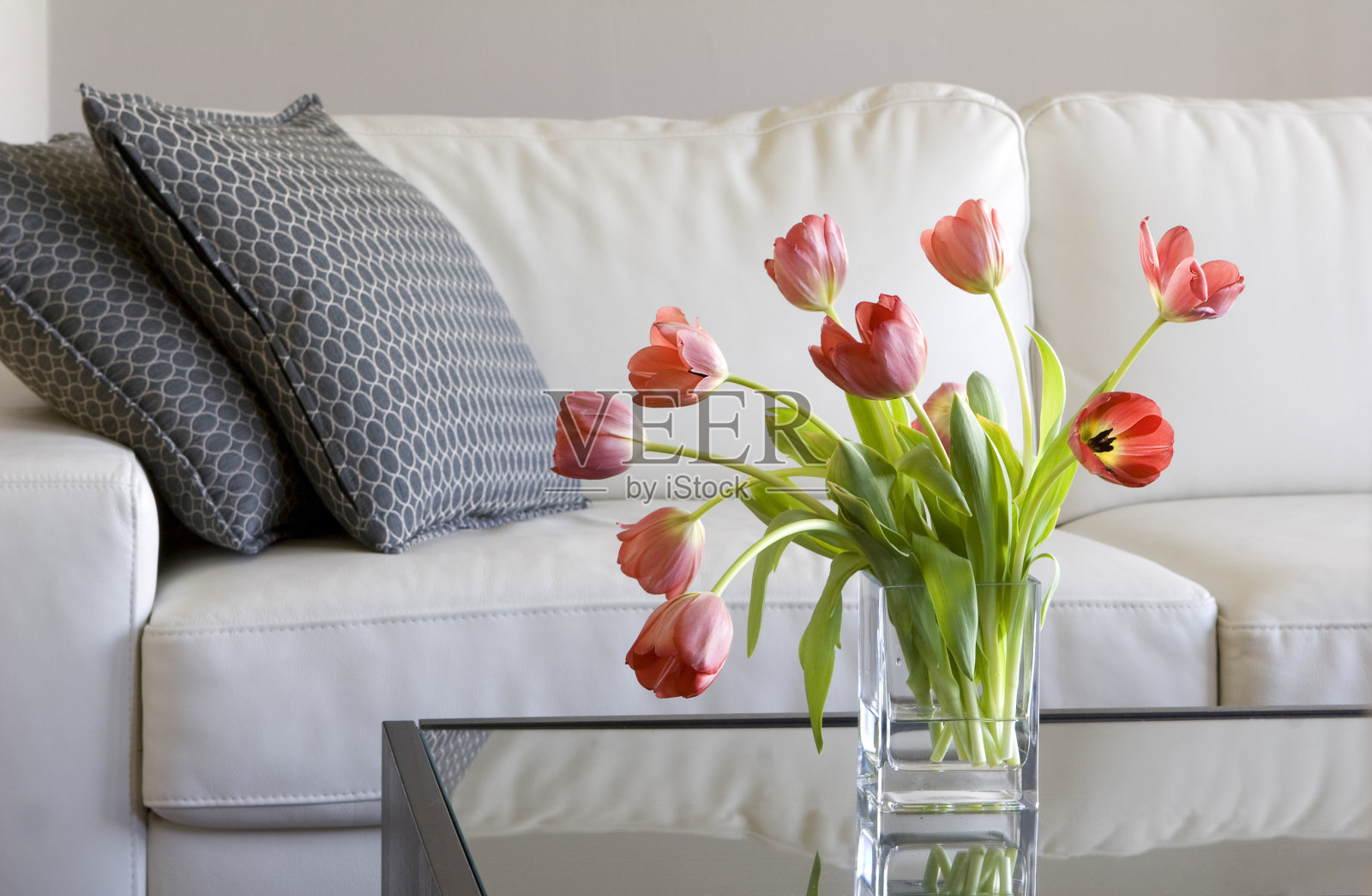 红色郁金香在现代客厅-家庭装饰照片摄影图片