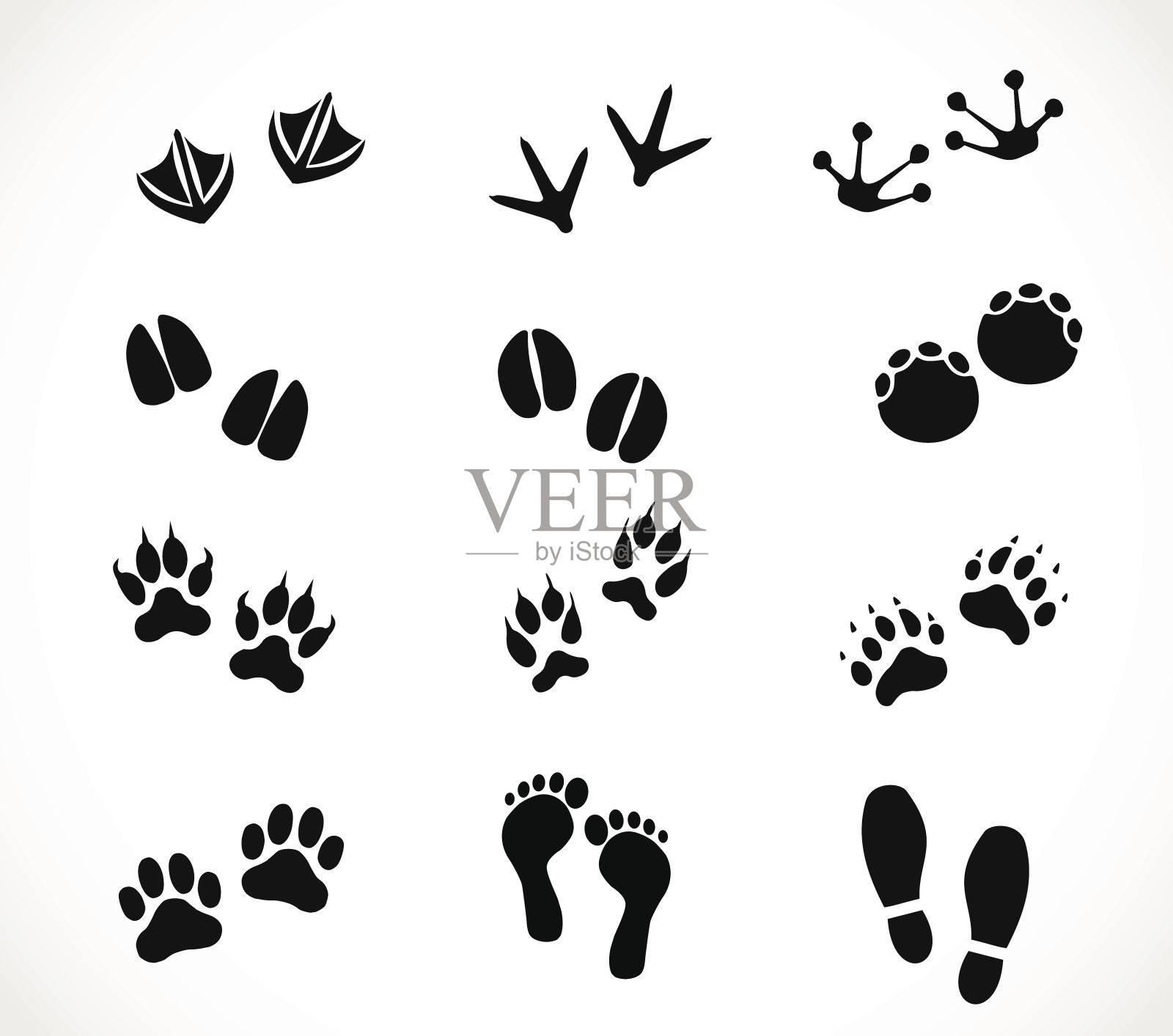 动物和人的爪子和脚印设置向量插画图片素材