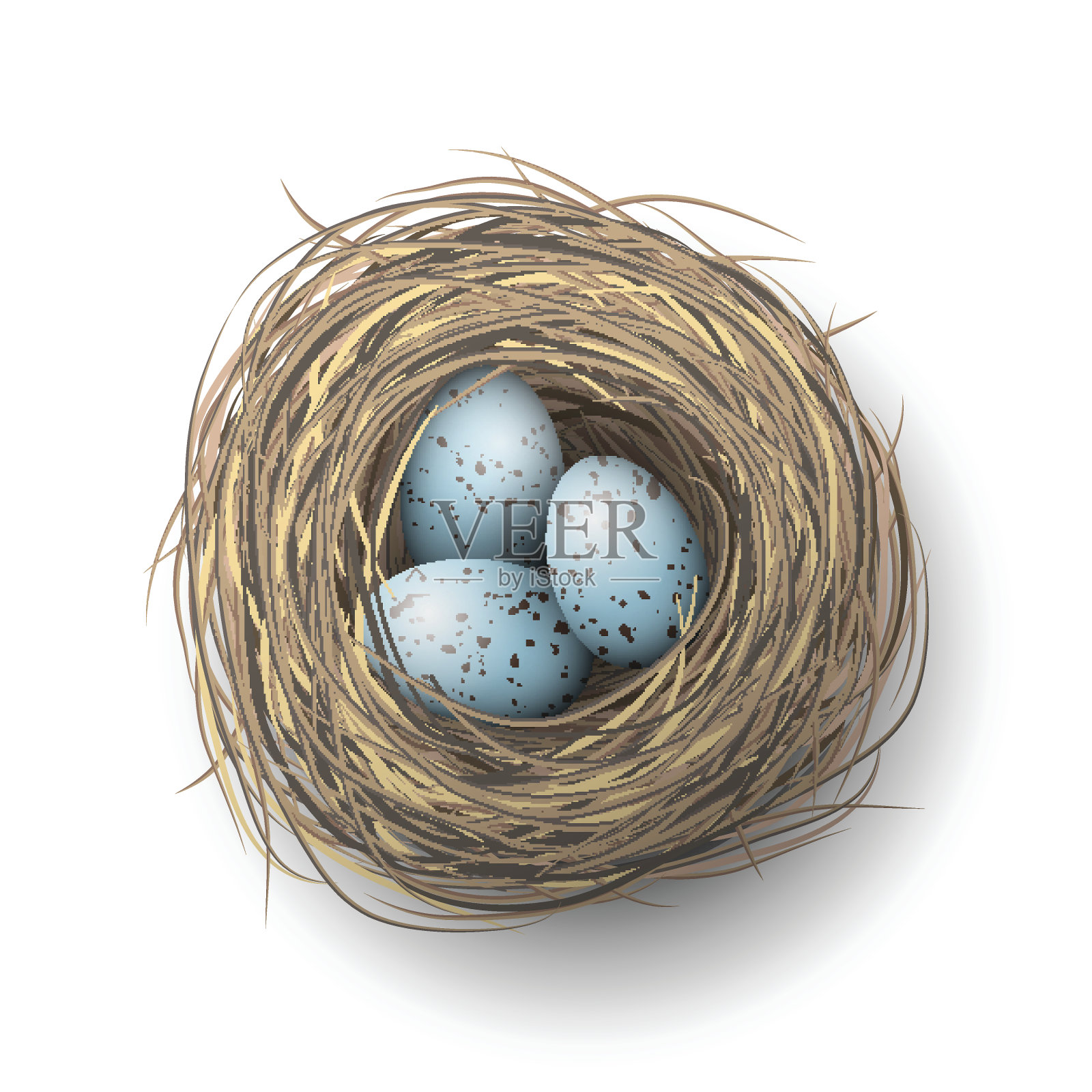巢与蓝色的蛋在白色的背景，插图插画图片素材