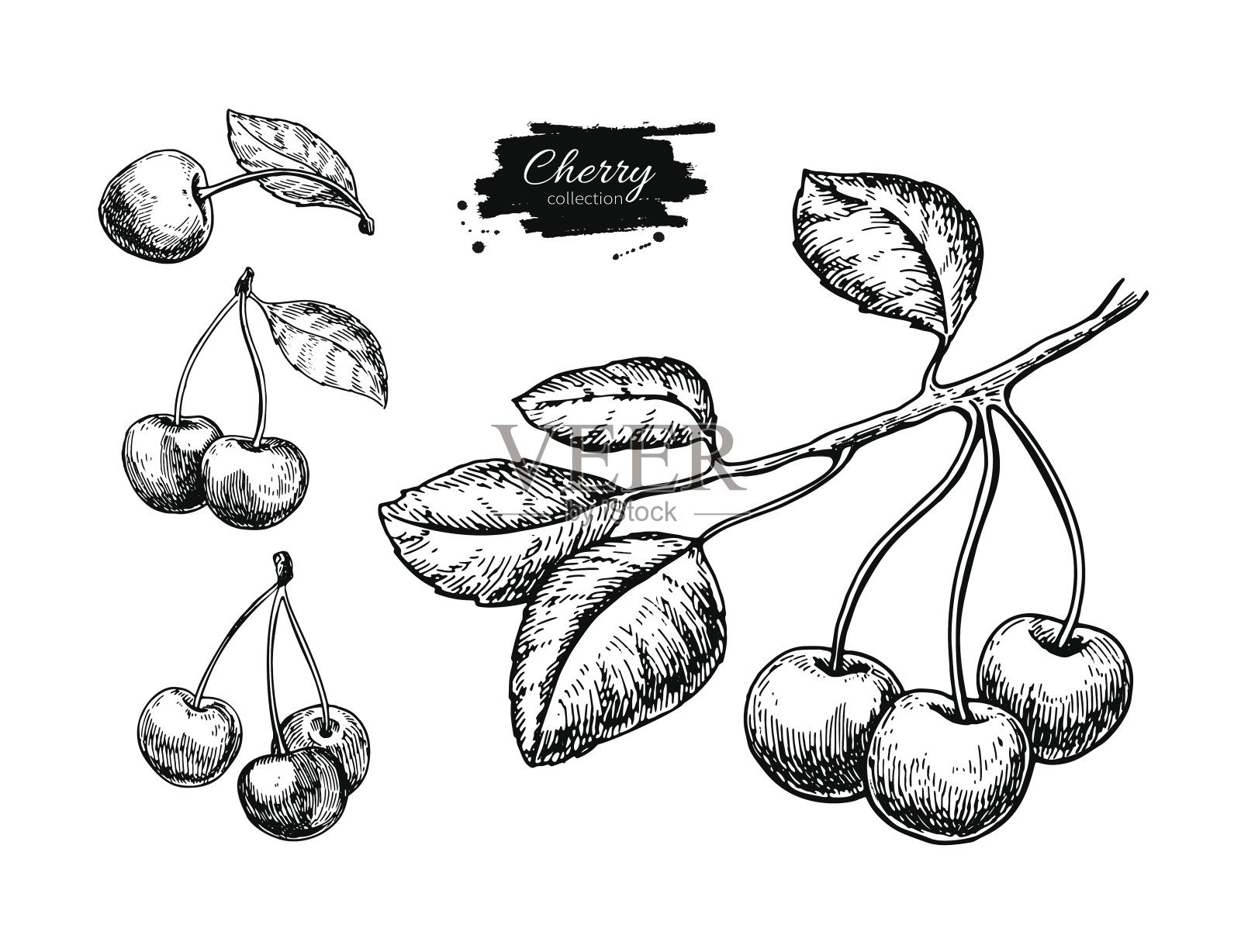 樱桃向量绘图集。孤立的手绘制的浆果在白色的背景。夏天插画图片素材
