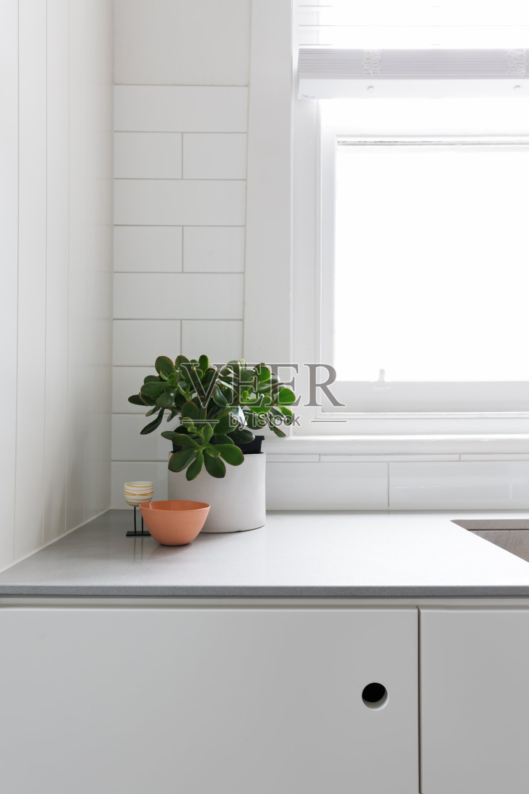 厨房工作台上的盆栽植物和装饰品照片摄影图片