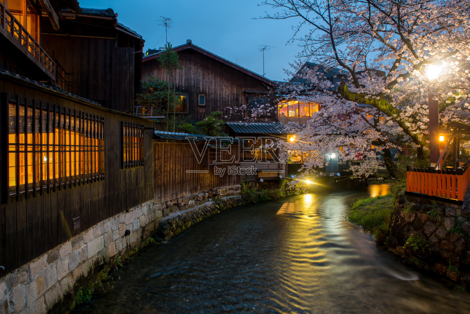春天，日本京都的白川河在祗园区。日本京都的樱花季。照片摄影图片