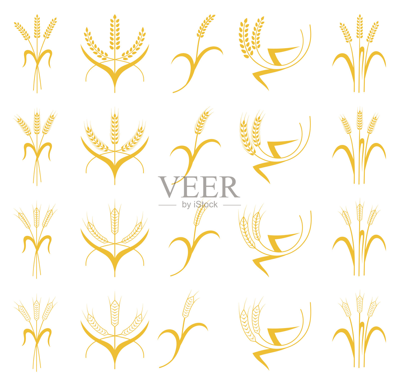 设置小麦，大麦或黑麦穗插画图片素材