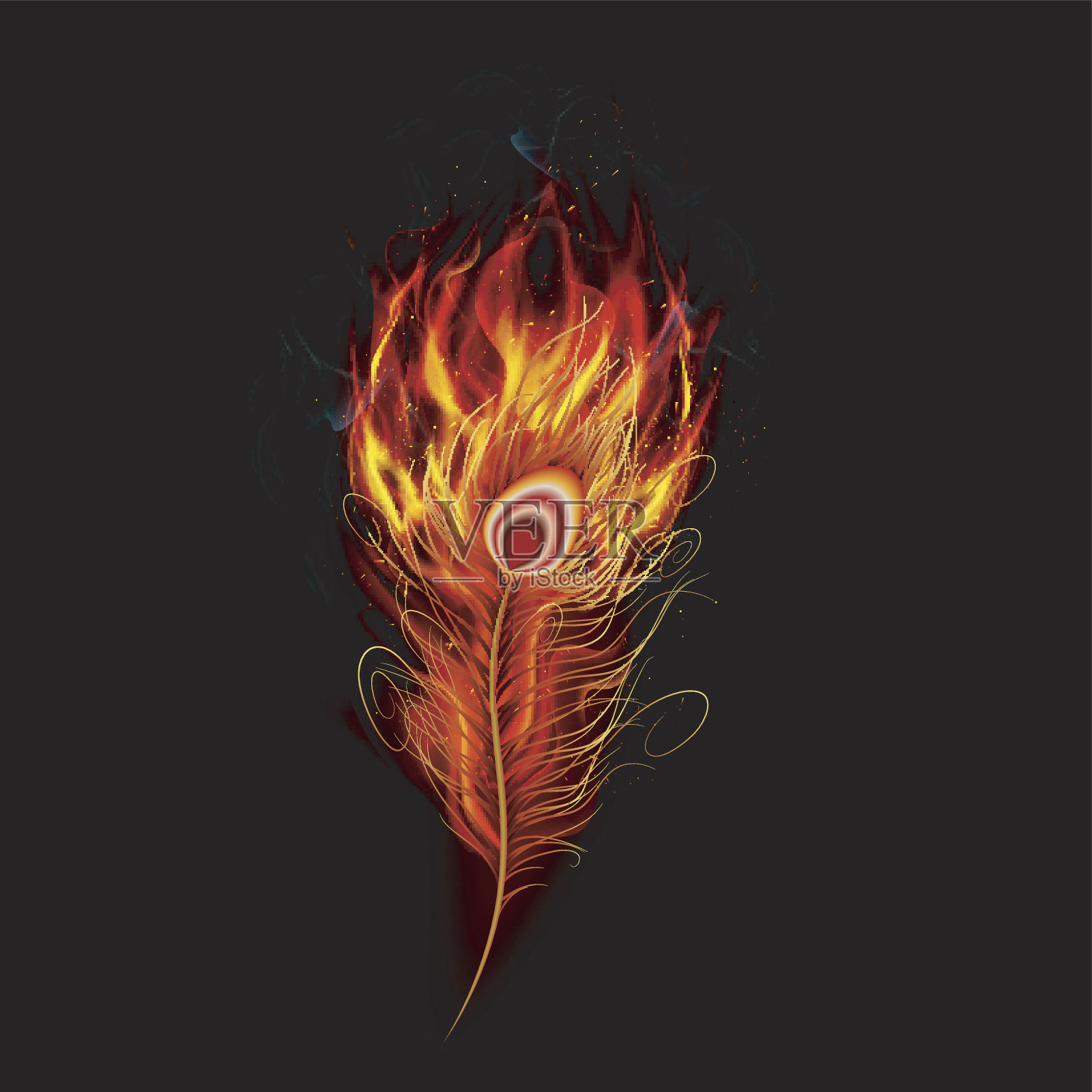 火燃烧的孔雀羽毛与黑色的背景设计元素图片