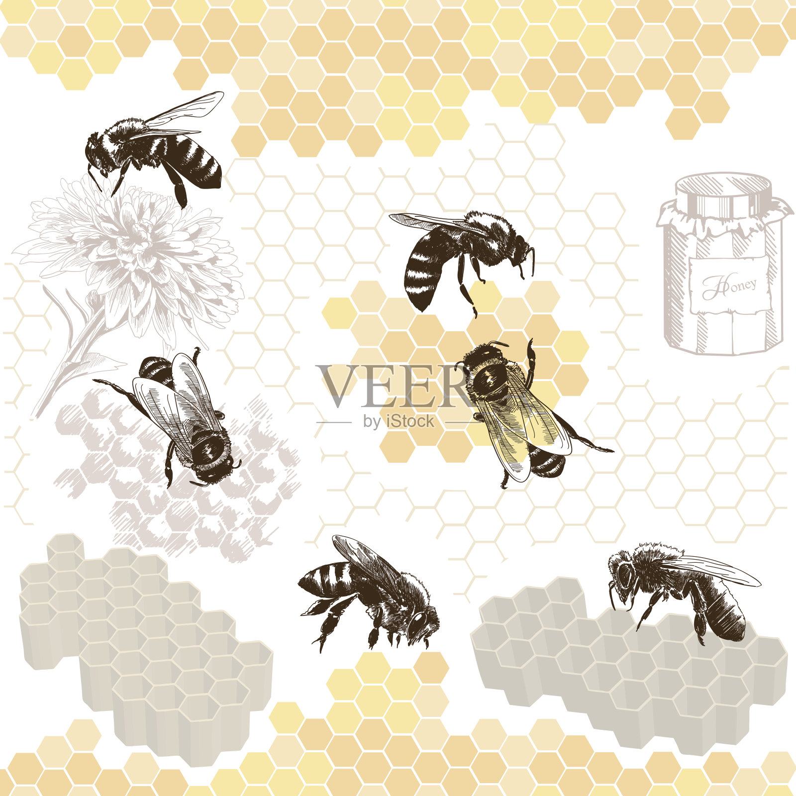 蜂房上的蜜蜂插画图片素材