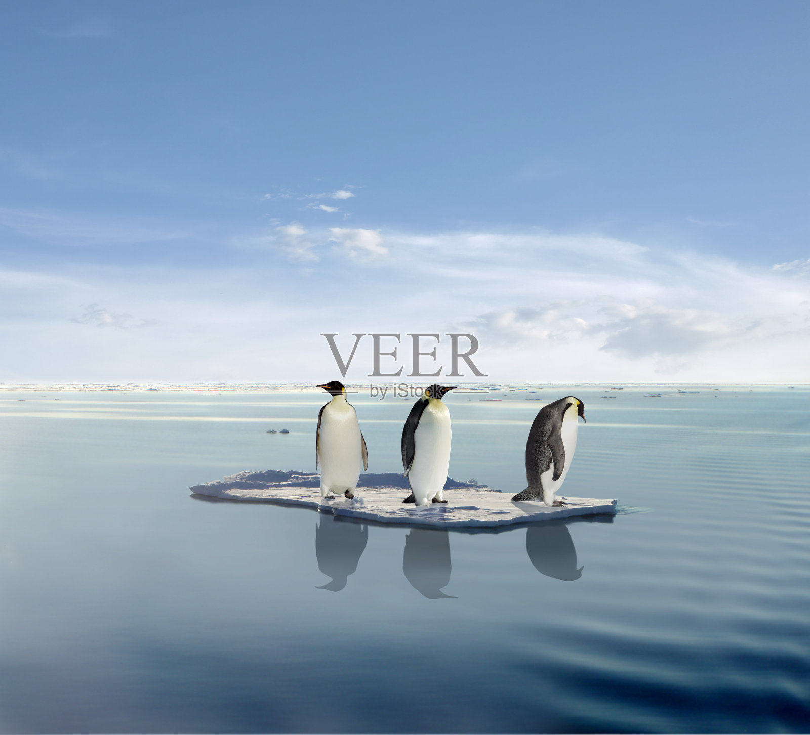 全球变暖概念与三只企鹅融冰照片摄影图片