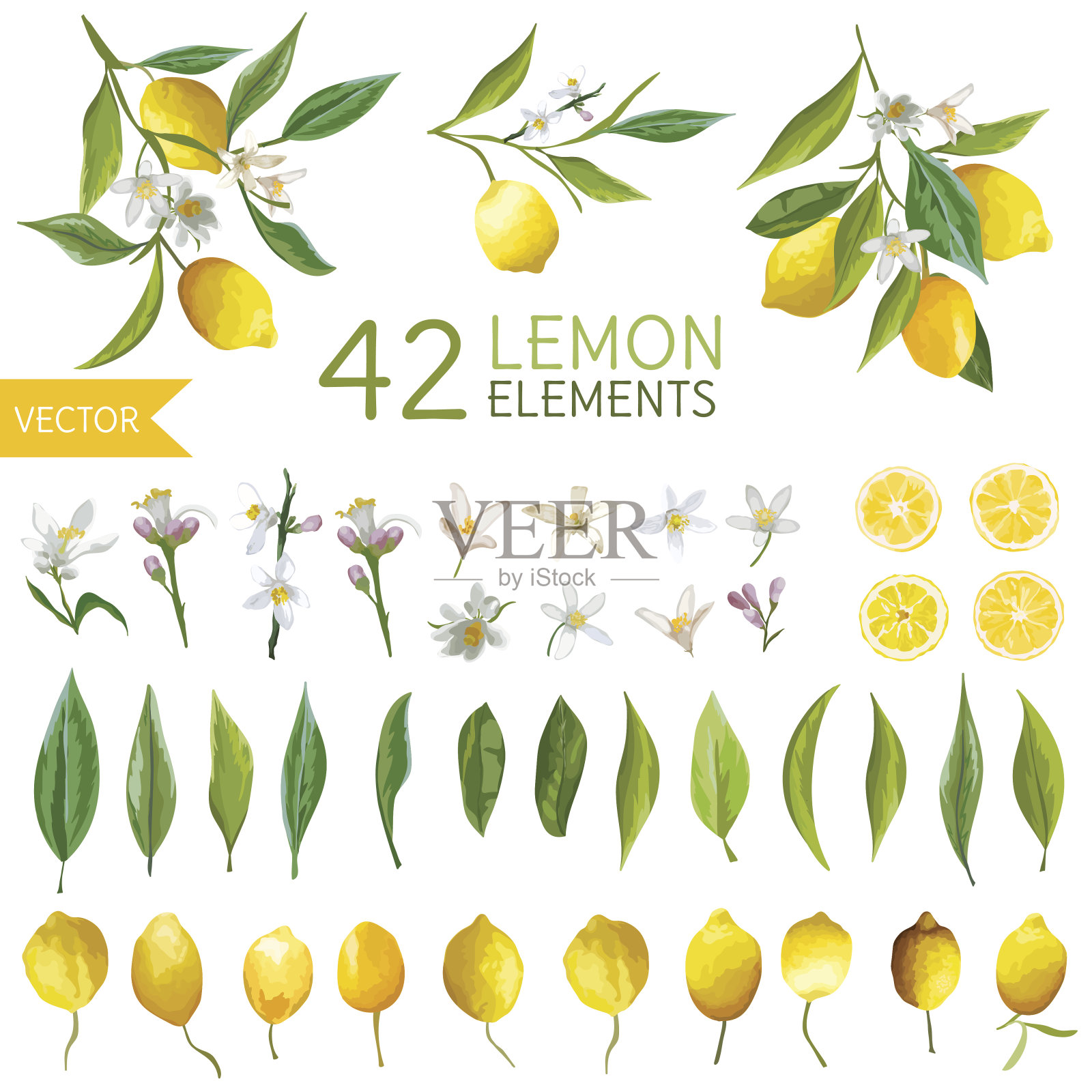 复古柠檬，花和叶。柠檬气味。水彩风格插画图片素材