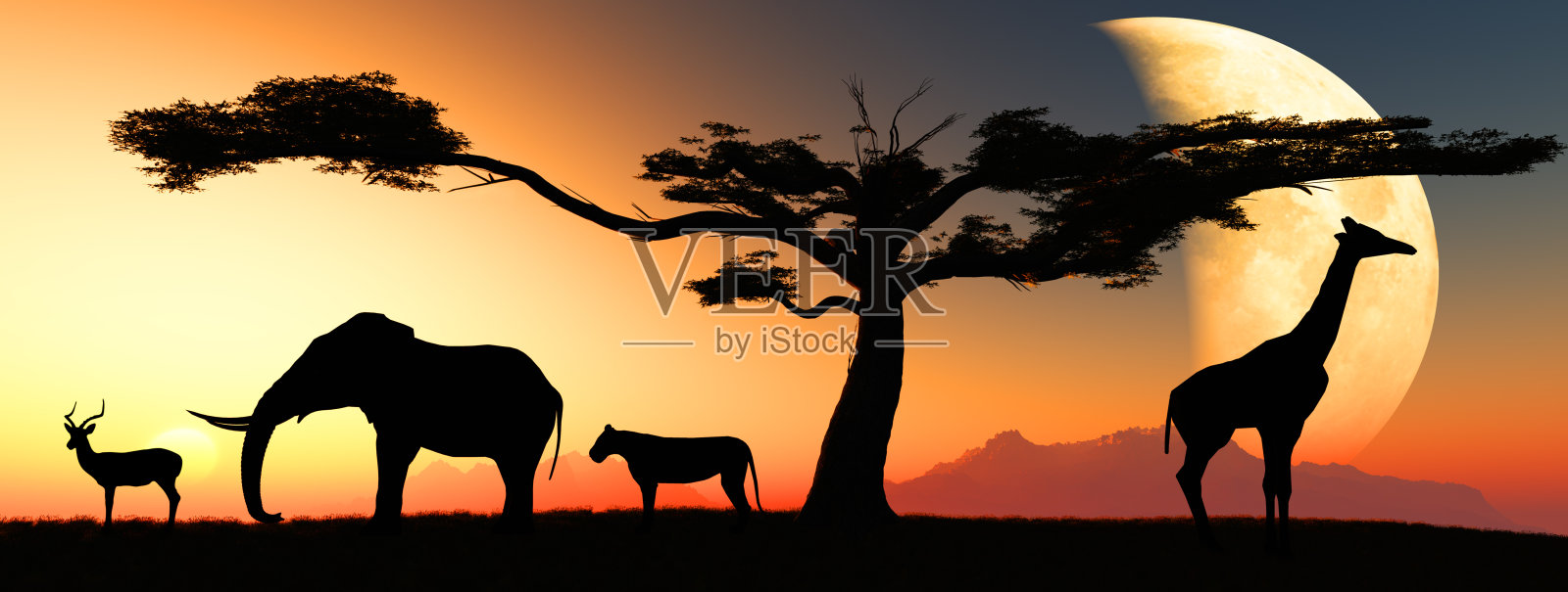 撒哈拉动物的剪影矗立在非洲沙漠中照片摄影图片