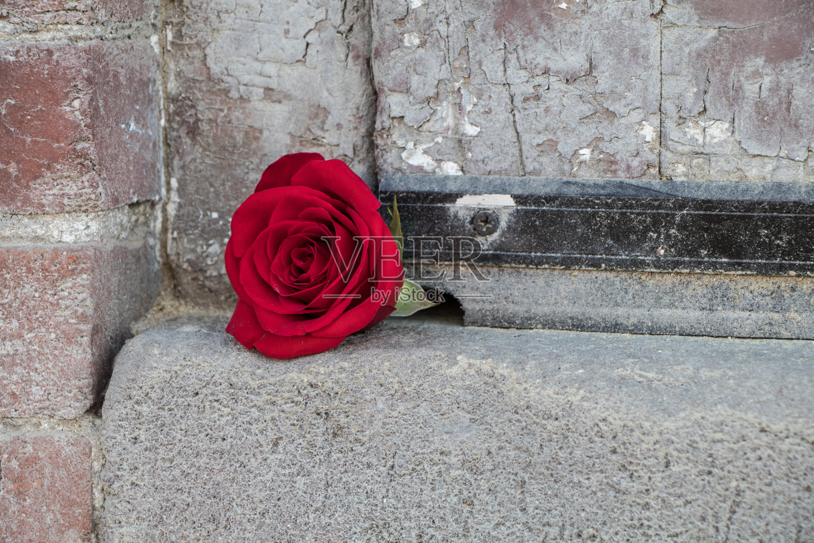 单瓣红玫瑰映衬着粗糙的暗砖墙照片摄影图片