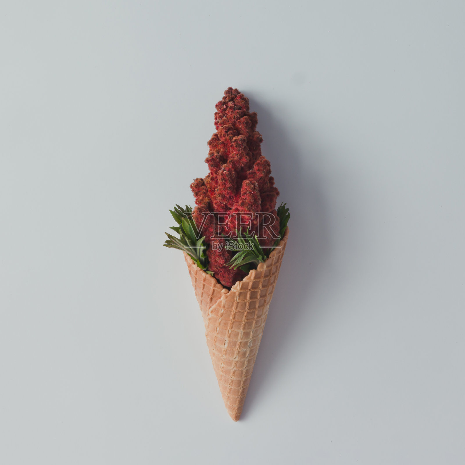 有红色花朵和叶子的蛋卷冰淇淋。夏季最小的概念。平的。照片摄影图片