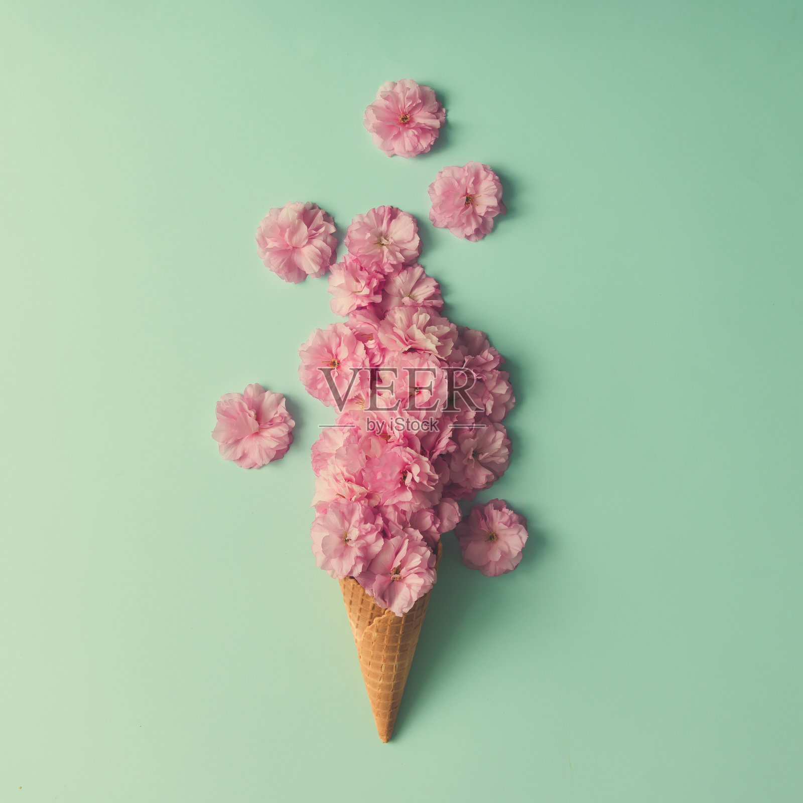 有粉红色花朵和叶子的蛋卷冰淇淋。夏季最小的概念。平的。照片摄影图片