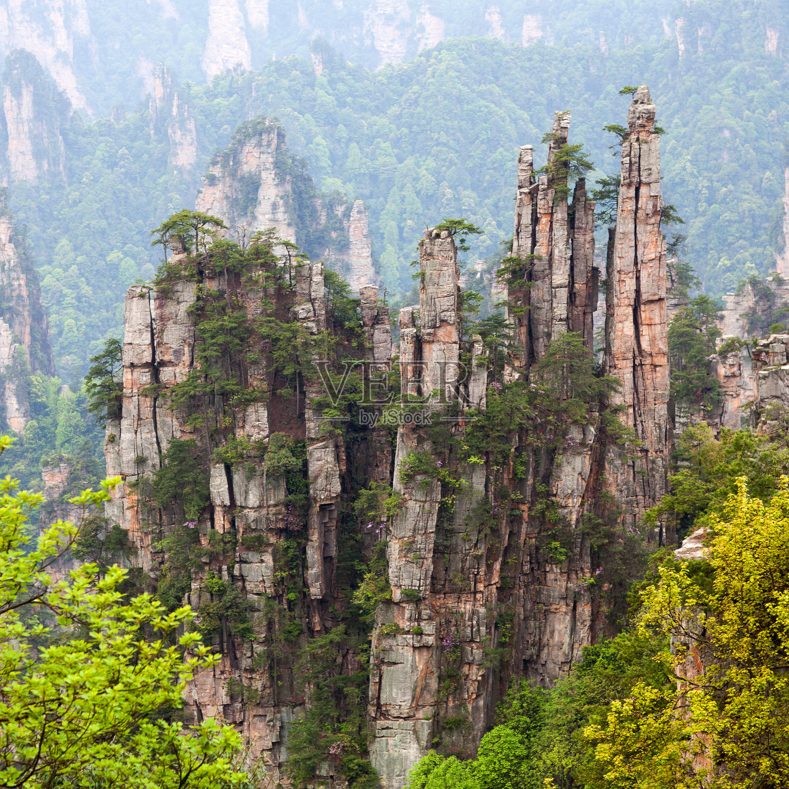 中国湖南省张家界国家森林公园。照片摄影图片