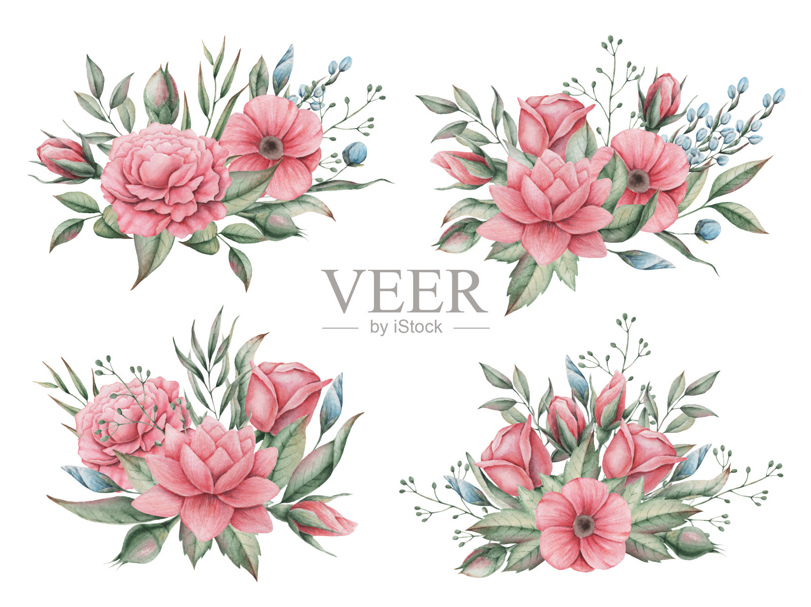 手绘水彩迷人的花和叶的组合，孤立在白色的背景插画图片素材