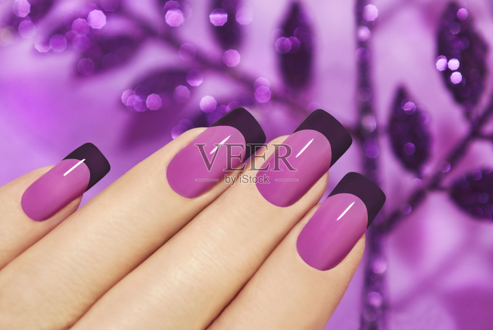 淡紫色的指甲。照片摄影图片