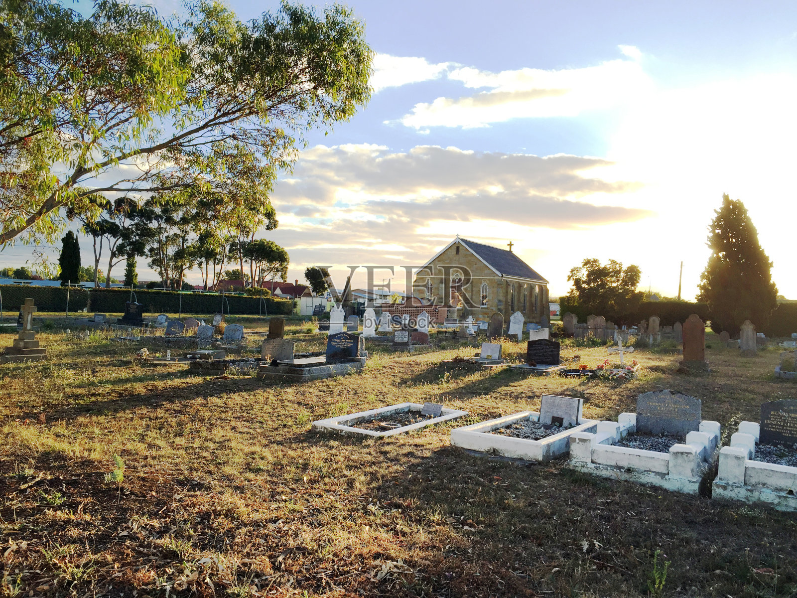 这地方是个墓地但太美了!在澳大利亚的塔斯马尼亚照片摄影图片